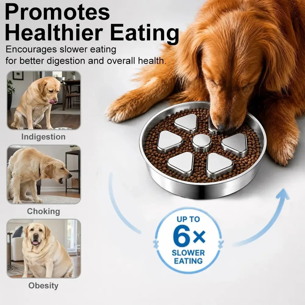 Kactoily Stainless Steel Slow Feeder Dog Bowl for Healthy Digestion