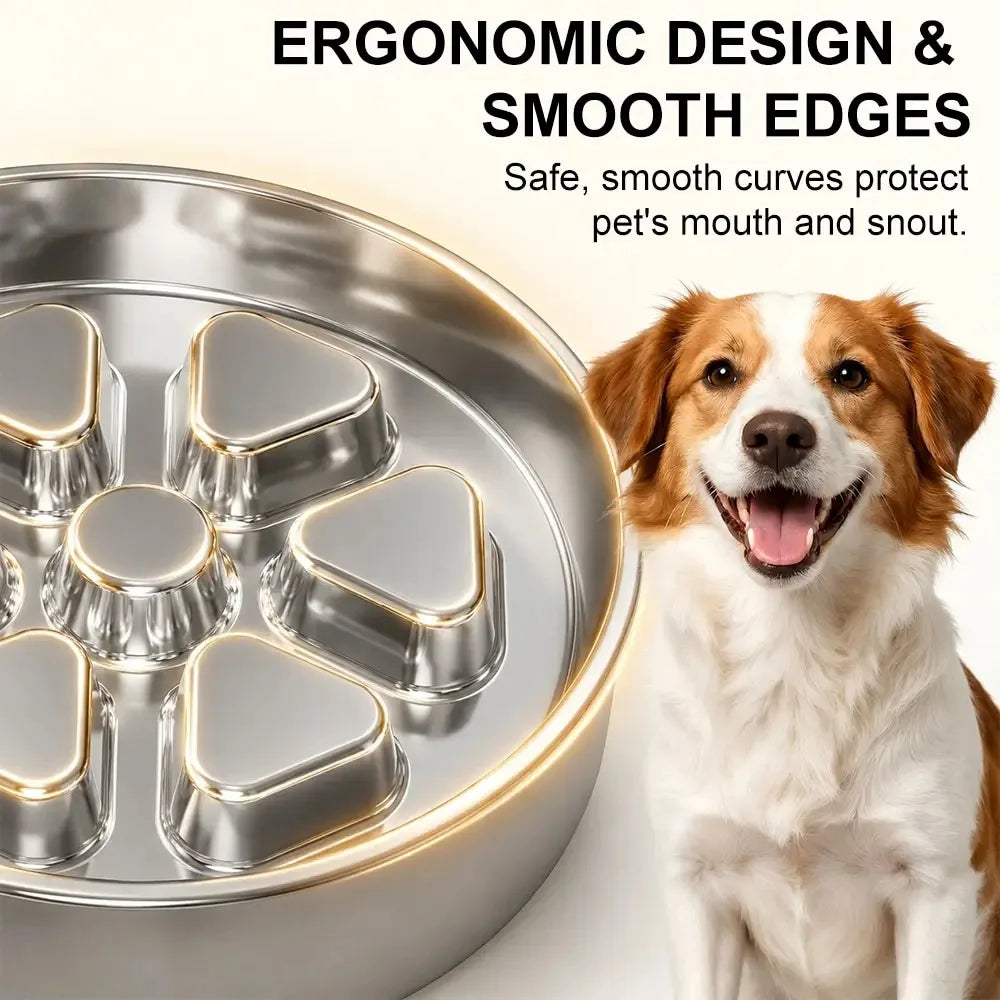 Kactoily Stainless Steel Slow Feeder Dog Bowl for Healthy Digestion