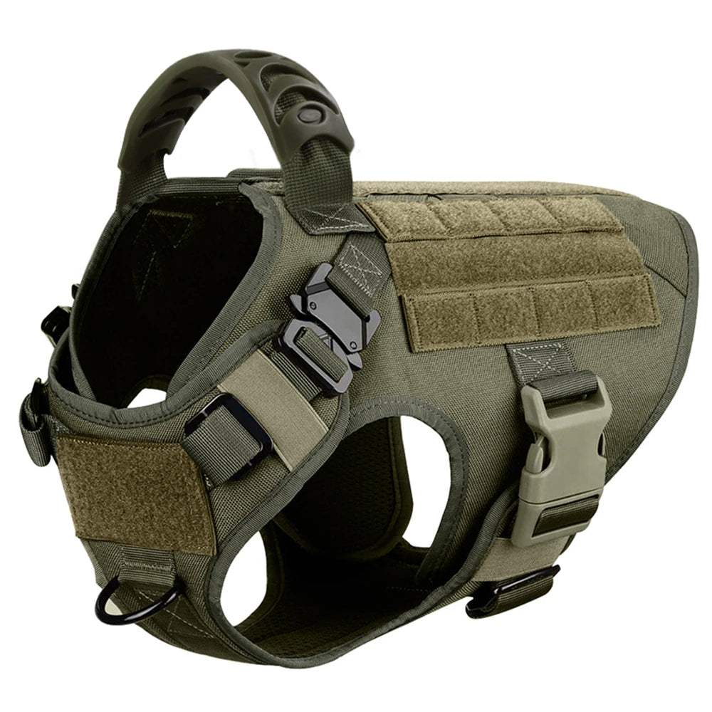 PETRAVEL Dog Harness and Leash Set for Training Walks