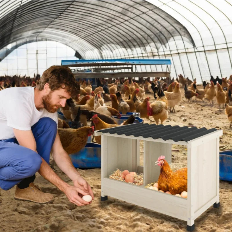 Wooden Two Hole Chicken Nesting Box With Waterproof PVC Roof