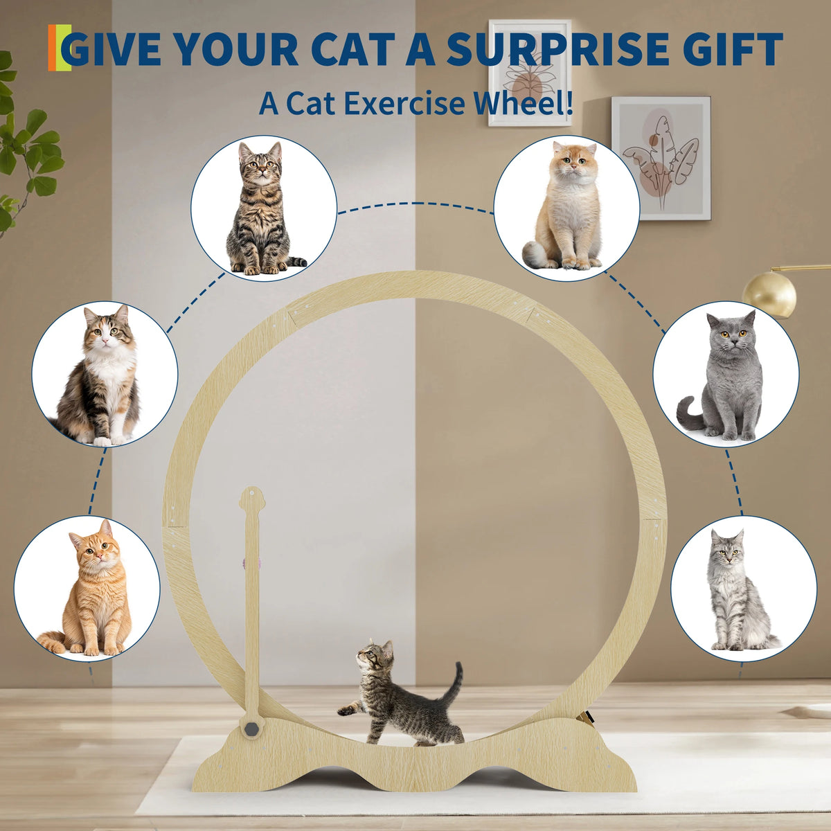 Quiet Indoor Cat Exercise Wheel for Fitness and Training