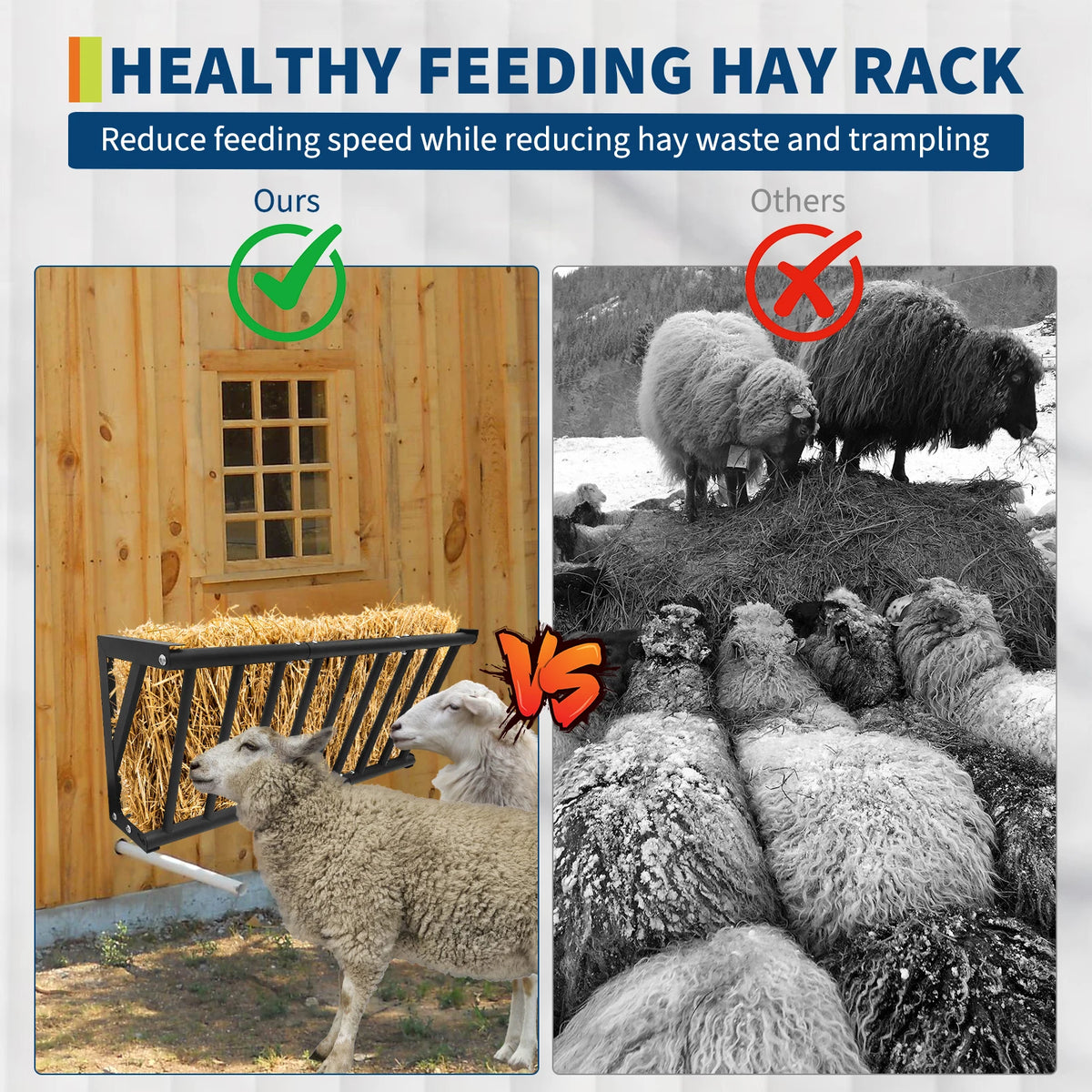 Heavy Duty Wall Mount Carbon Steel Hay Feeder for Livestock