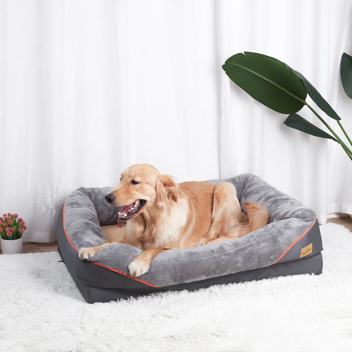 BINGOPAW Washable Waterproof Dog Bed With Removable Soft Fleece Cover