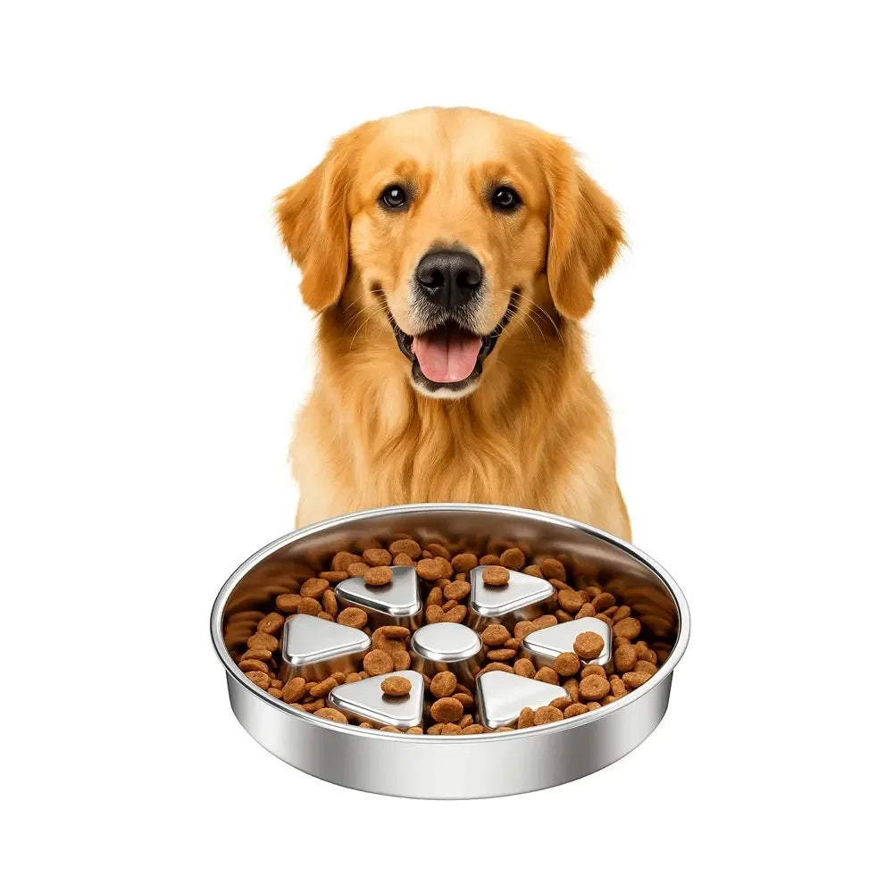 Kactoily Stainless Steel Slow Feeder Dog Bowl for Healthy Digestion