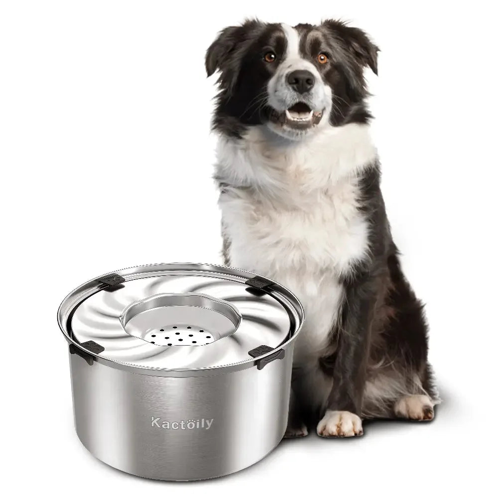 Kactoily Stainless Steel No Spill Water Bowl With Floating Disk