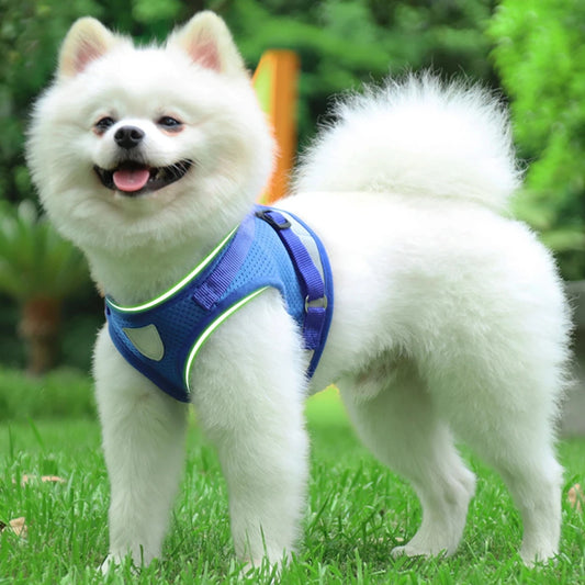 Pet Dog Cat Harness with Adjustable Leash Reflective Safety Mesh Chest Strap Collar  Small Medium Dogs Vest Set XS/S/M/L/XL