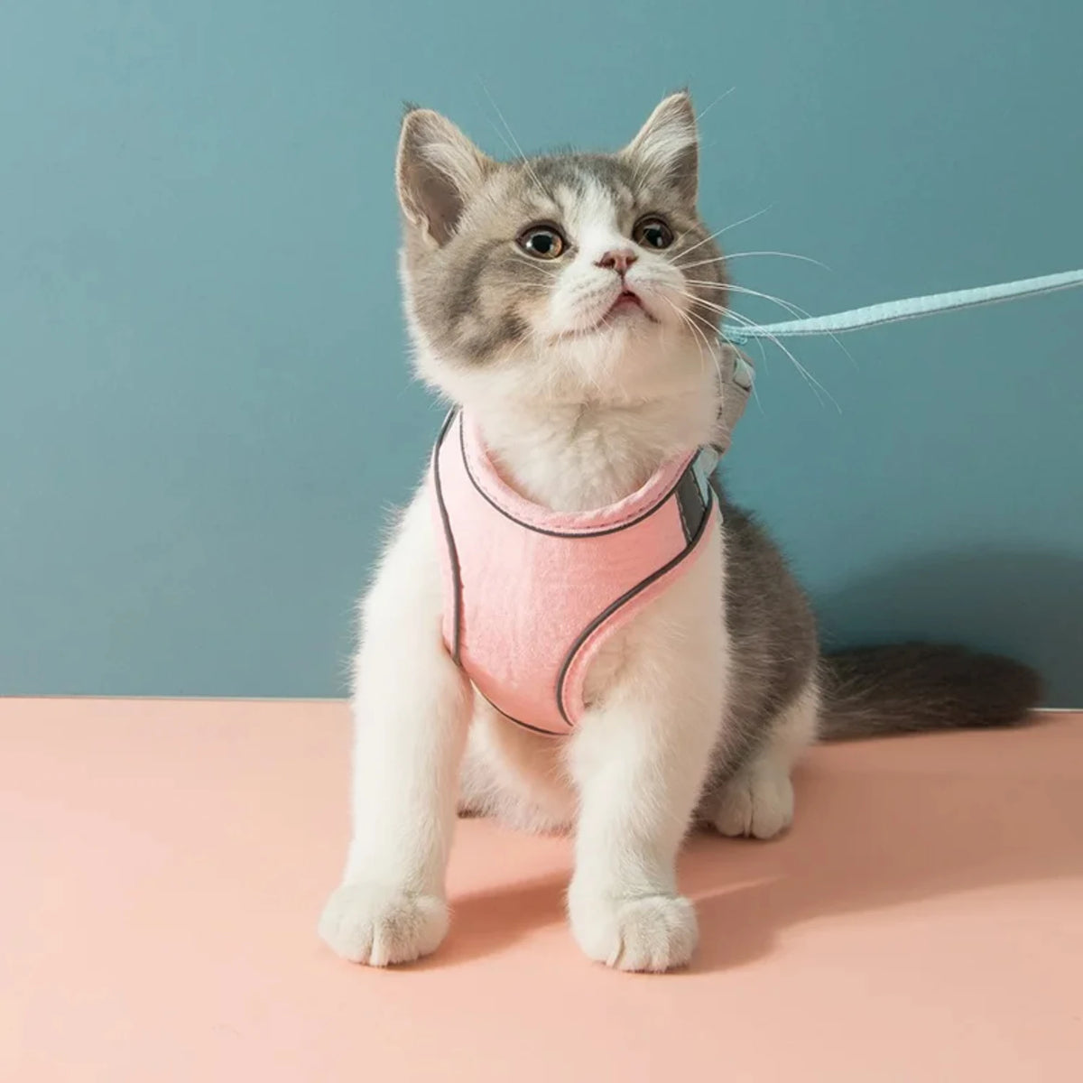 Cat Harness Leash Set Breathable Kitten Cats Harnesses Small Dog Puppy Harness  French Bulldog Chihuahua Pug
