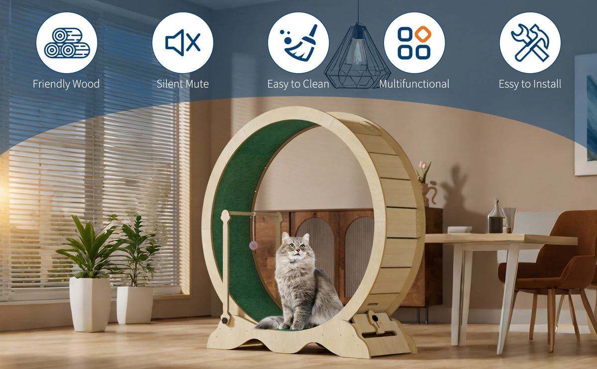 Quiet Indoor Cat Exercise Wheel for Fitness and Training