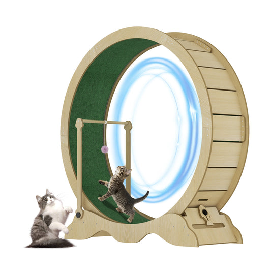 Quiet Indoor Cat Exercise Wheel for Fitness and Training