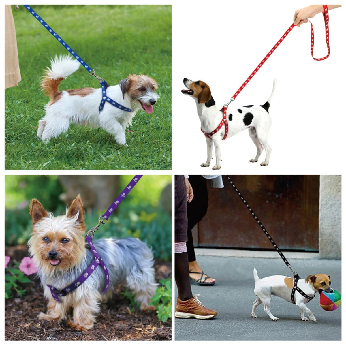 Nylon Dog Harness and Leash Set Adjustable Paw Print Dog Harness Walking Leash Strap  Small Medium Dogs S/M/L