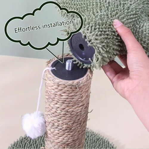 Cactus Cat Scratcher With Claw Health And Indoor Play Benefits